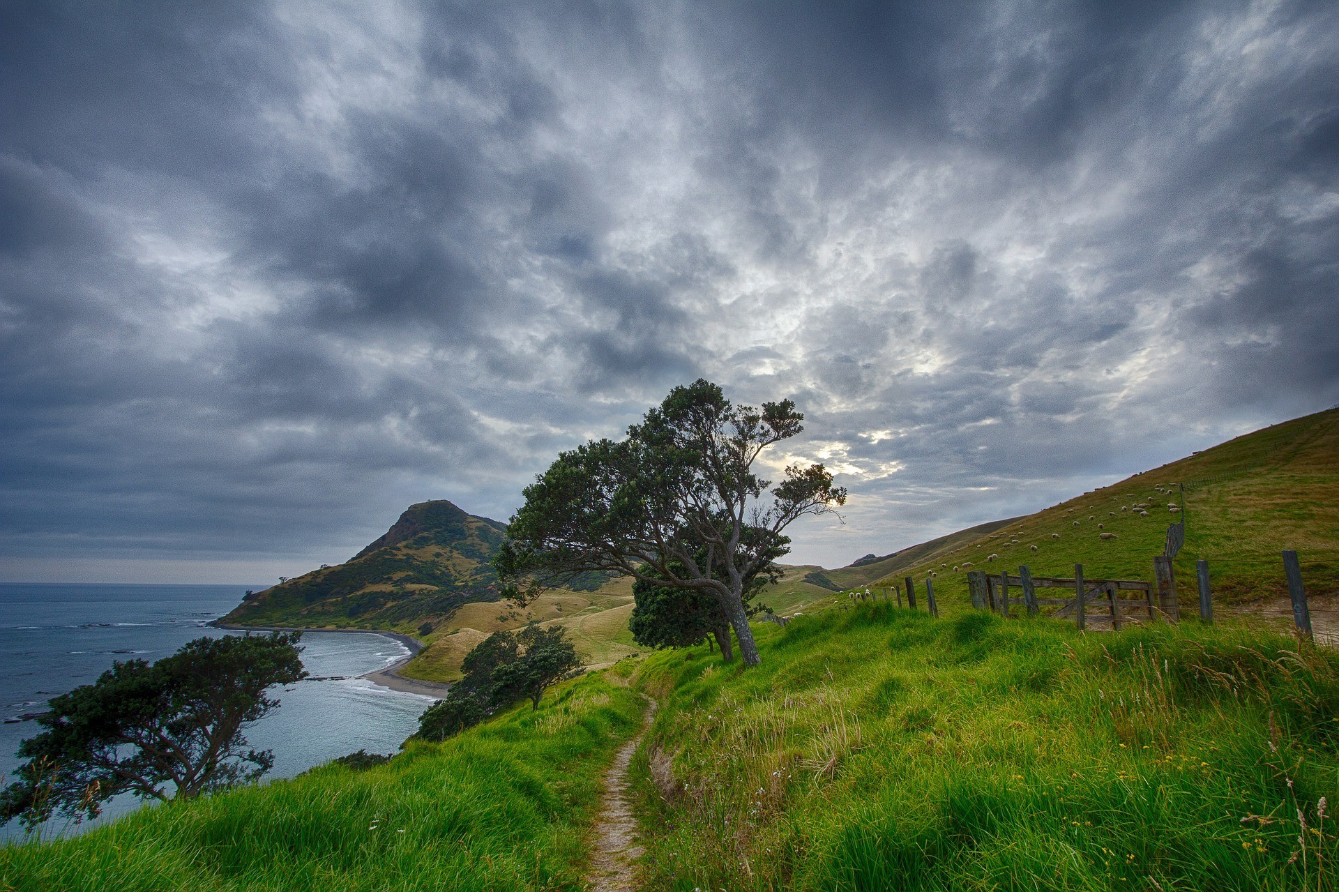 New Zealand hiking path
